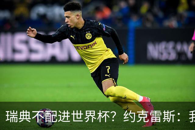 瑞典不配进世界杯？约克雷斯：我们凭实力进的，首战就5-1赢了